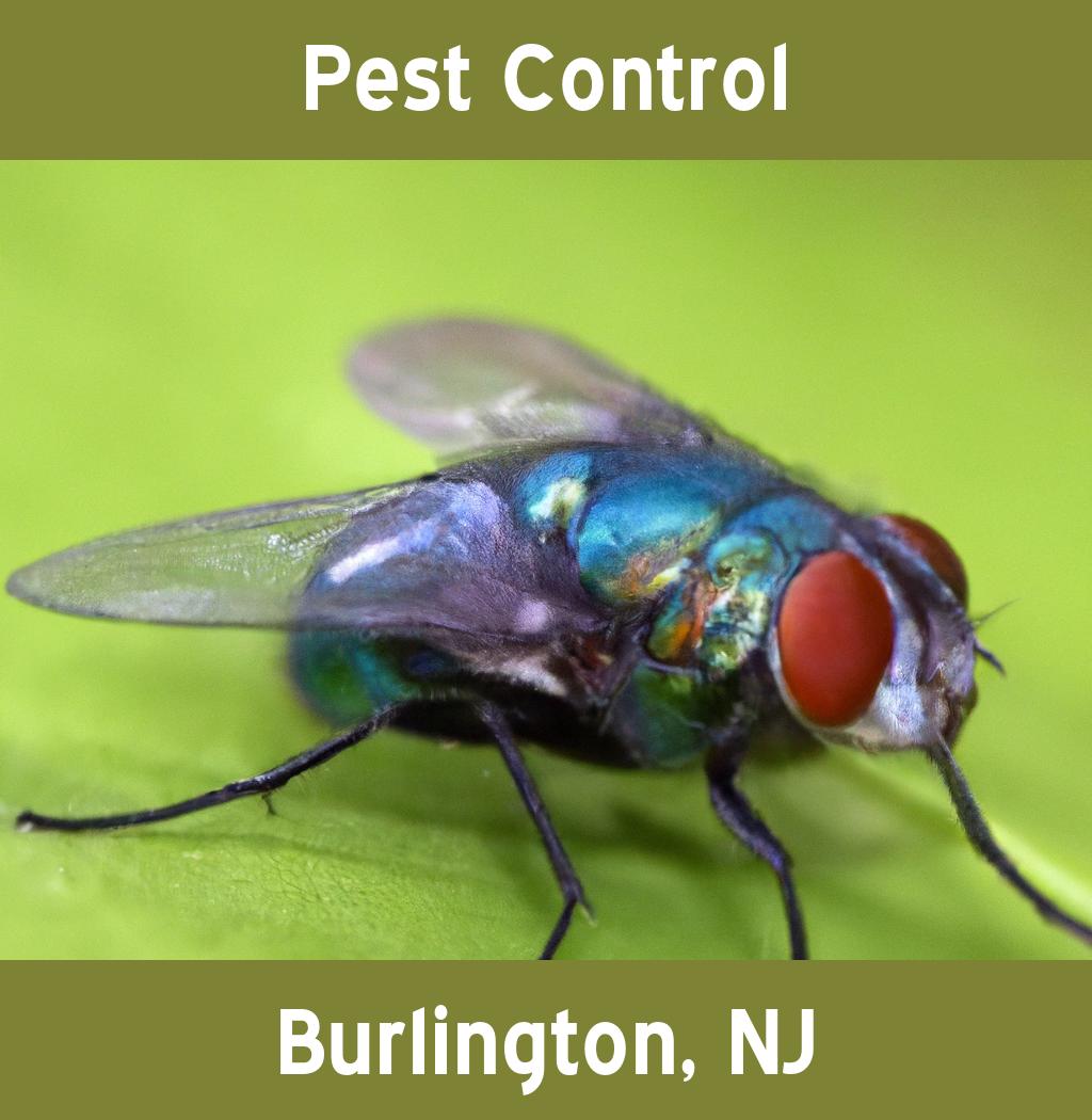 pest control in Burlington New Jersey