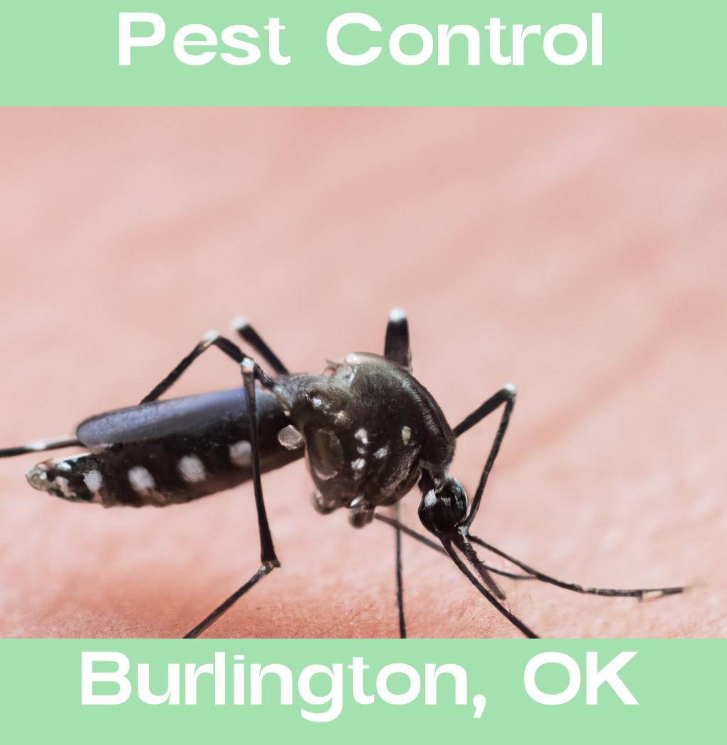 pest control in Burlington Oklahoma