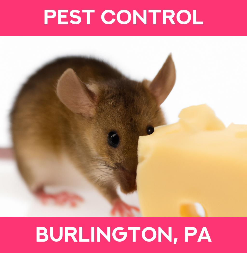 pest control in Burlington Pennsylvania