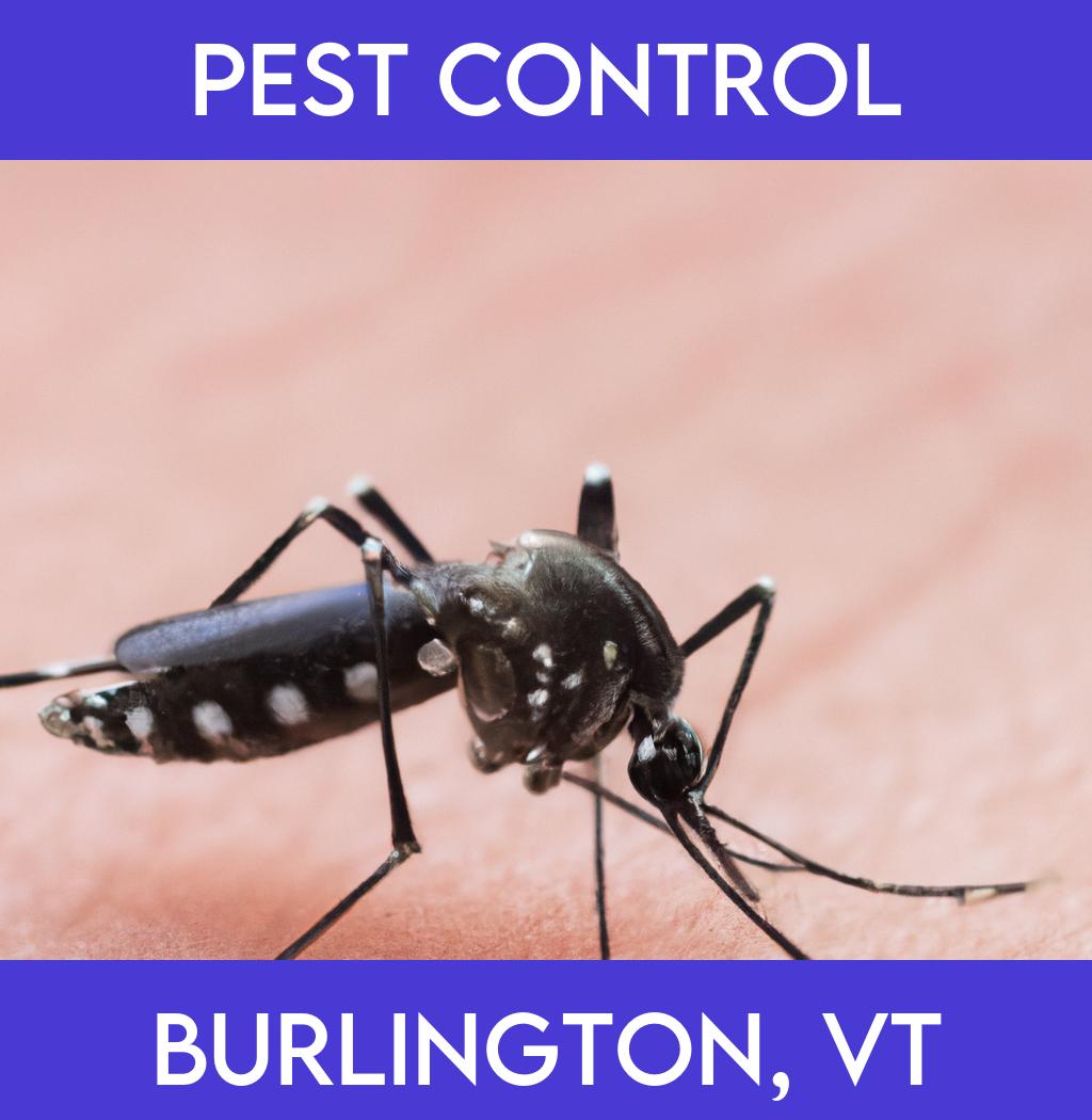 pest control in Burlington Vermont