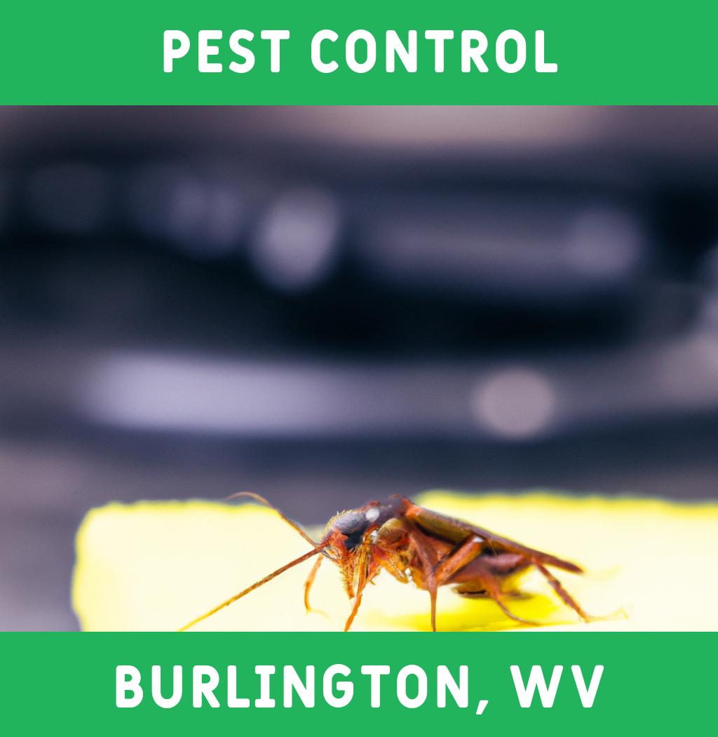 pest control in Burlington West Virginia