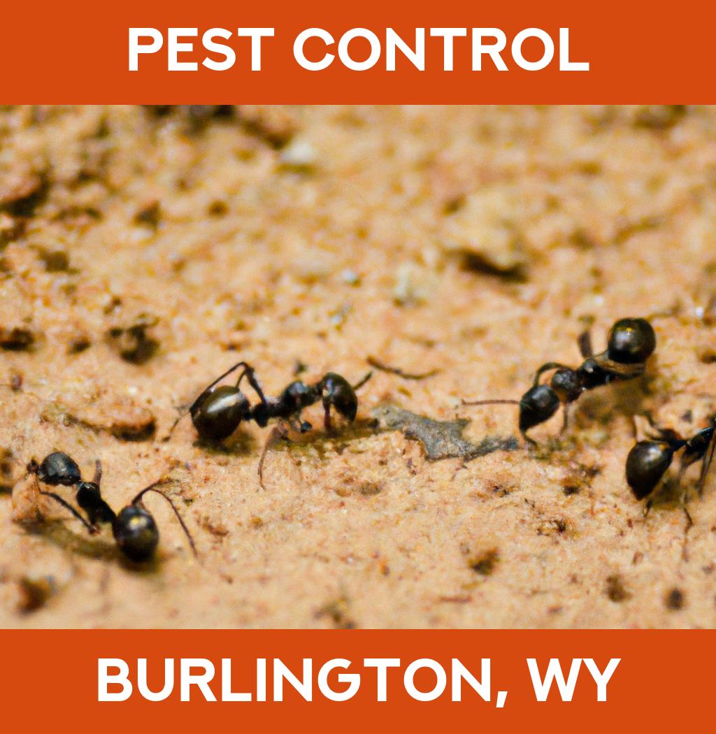 pest control in Burlington Wyoming