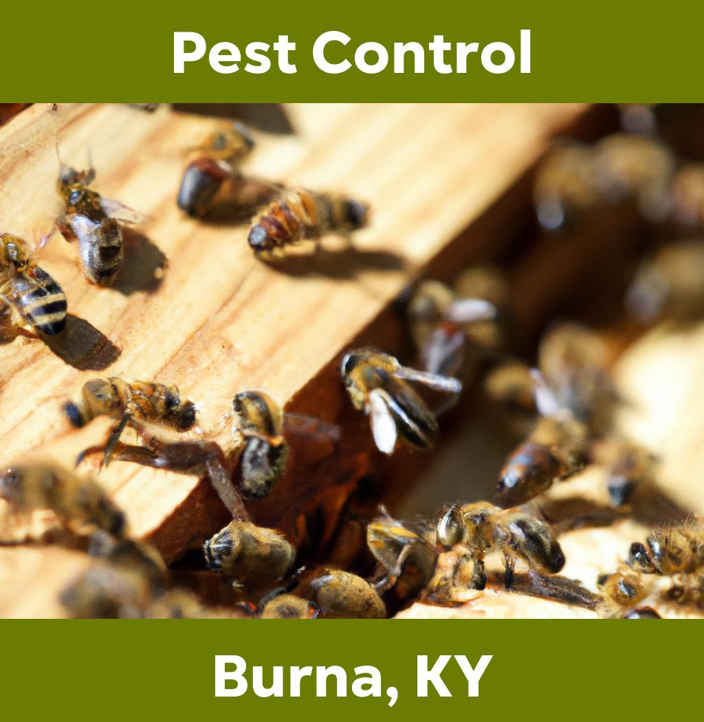 pest control in Burna Kentucky
