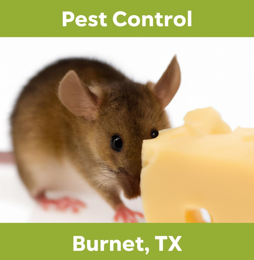 pest control in Burnet Texas