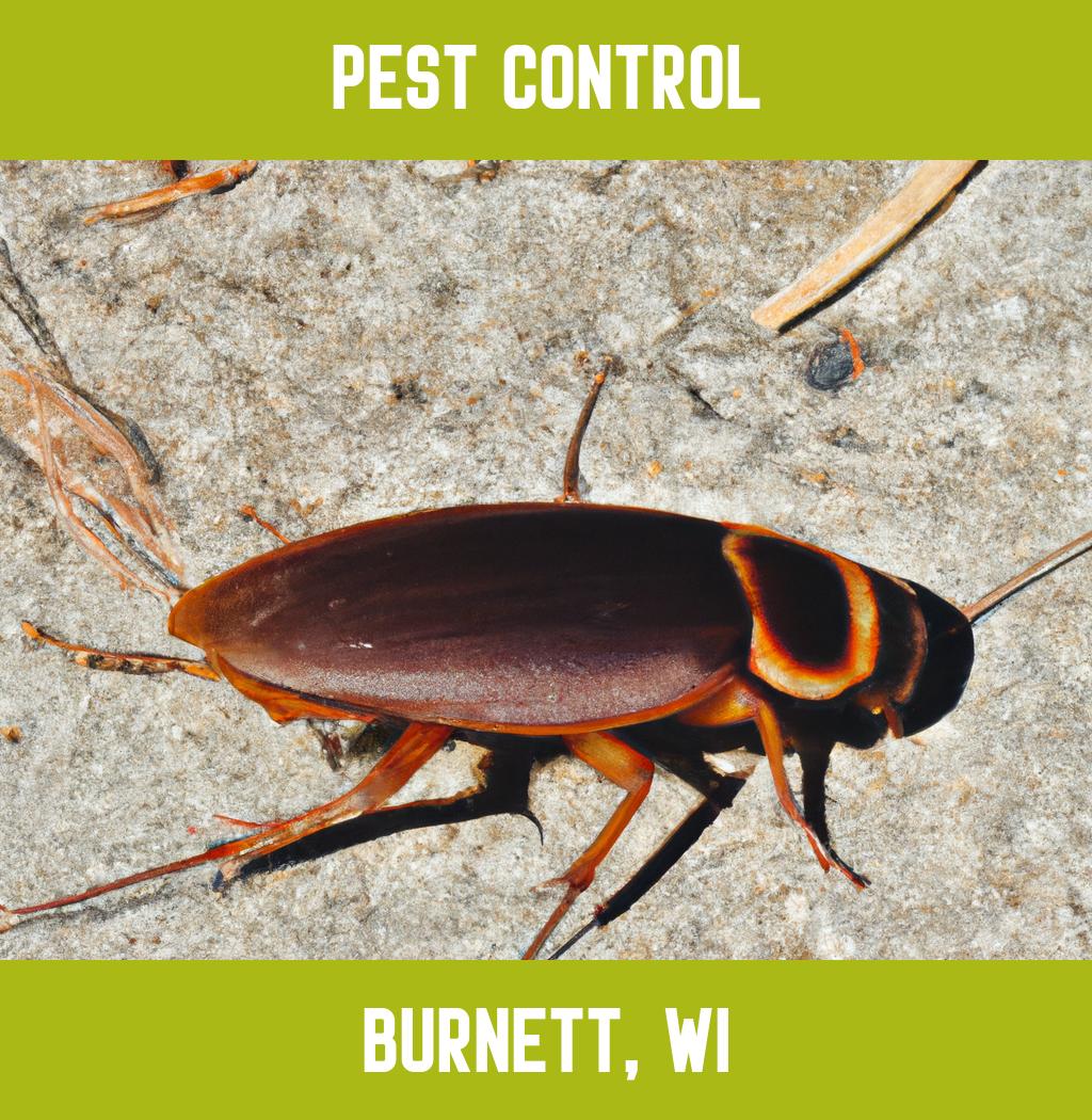 pest control in Burnett Wisconsin