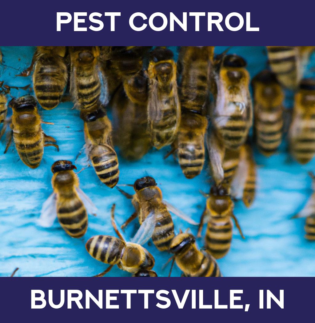 pest control in Burnettsville Indiana