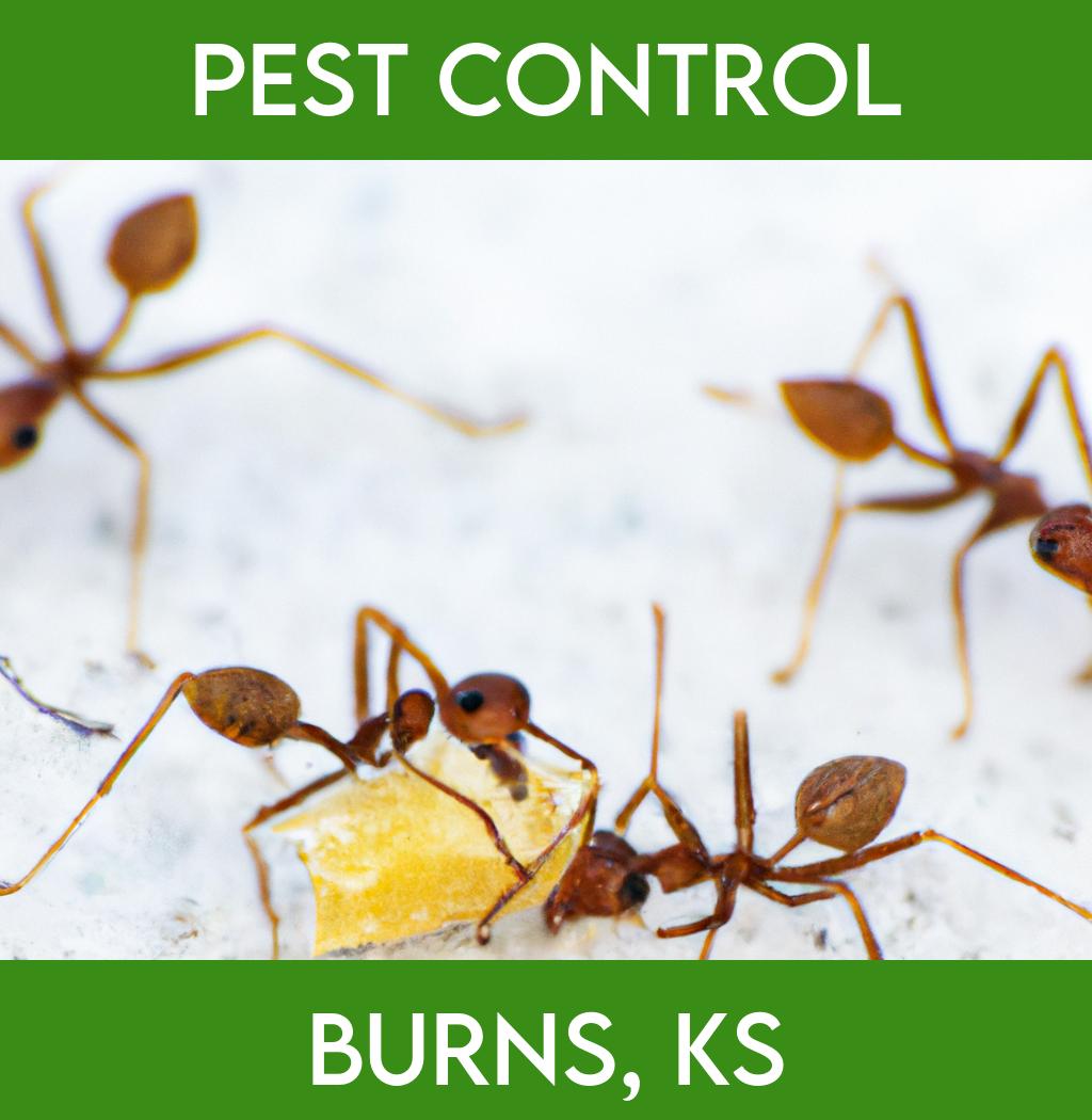 pest control in Burns Kansas