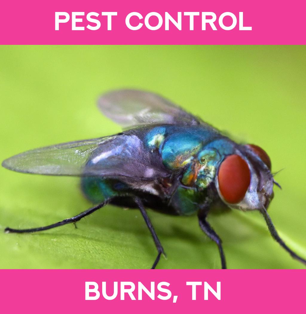 pest control in Burns Tennessee