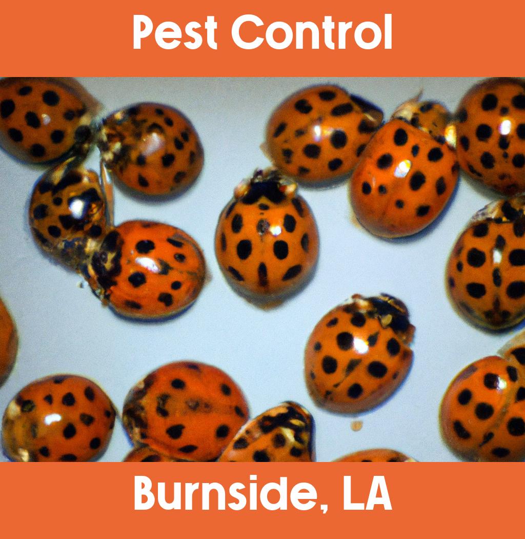 pest control in Burnside Louisiana