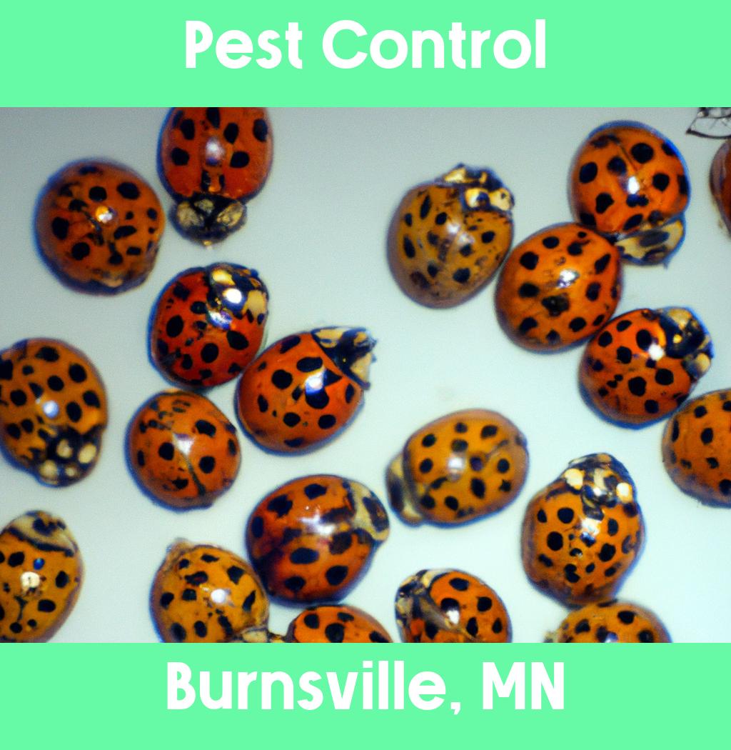 pest control in Burnsville Minnesota