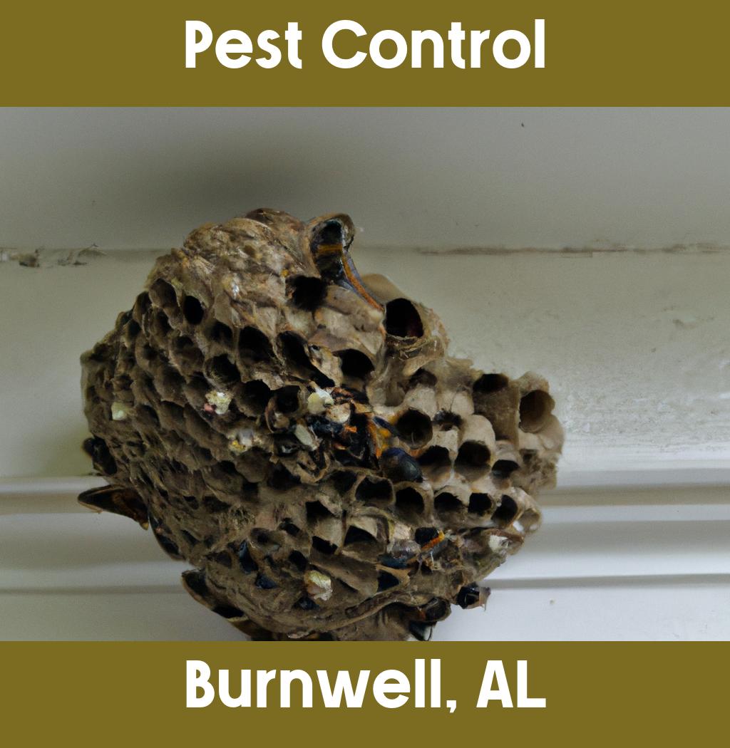pest control in Burnwell Alabama