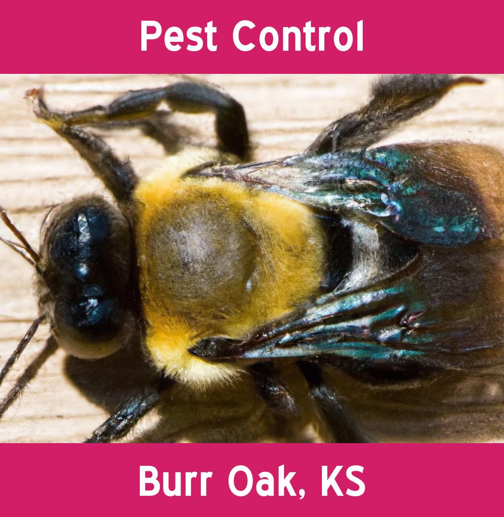 pest control in Burr Oak Kansas
