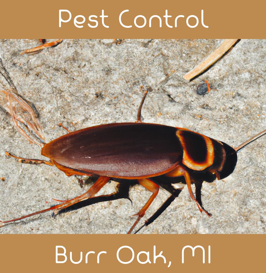 pest control in Burr Oak Michigan