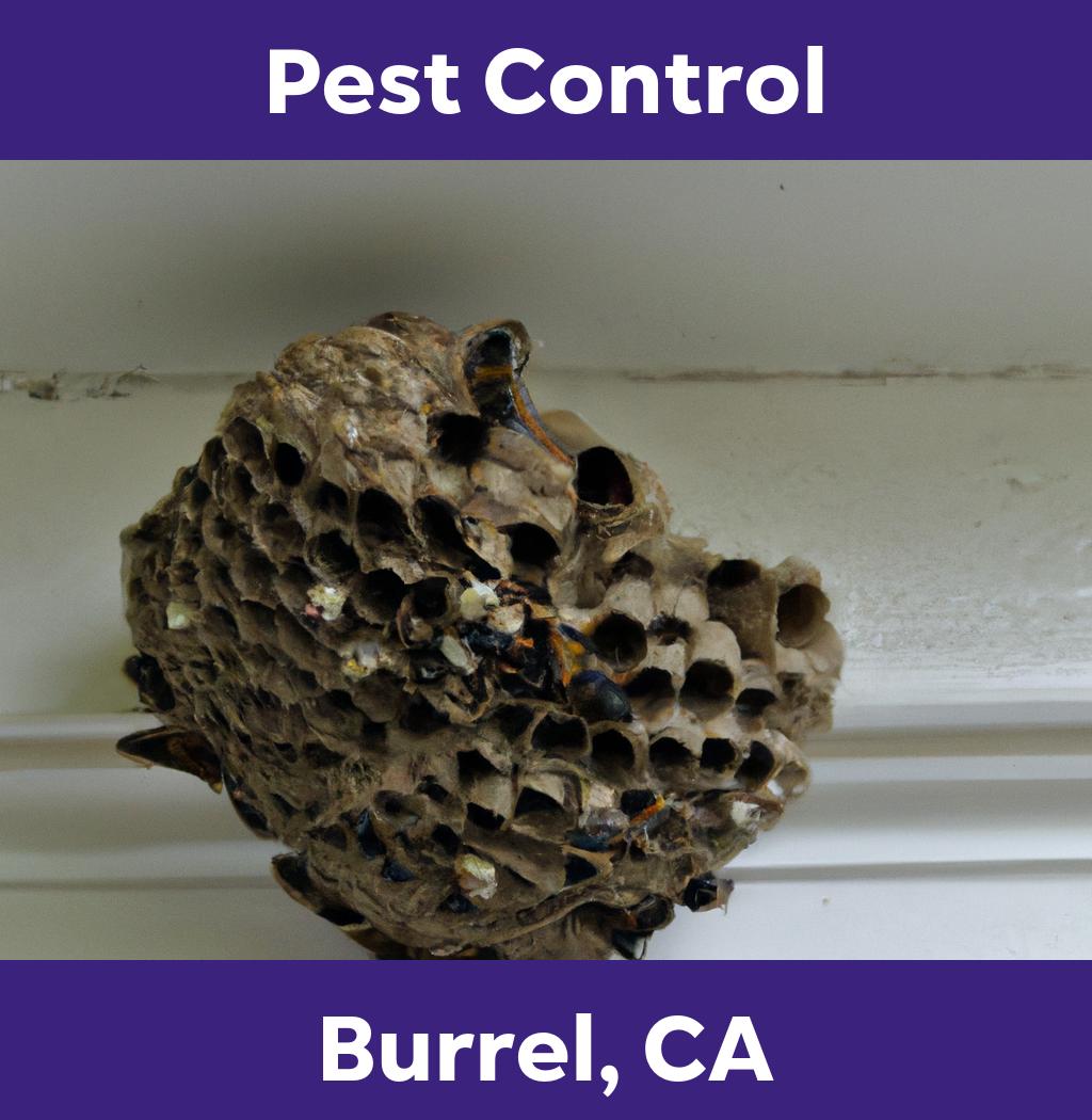 pest control in Burrel California