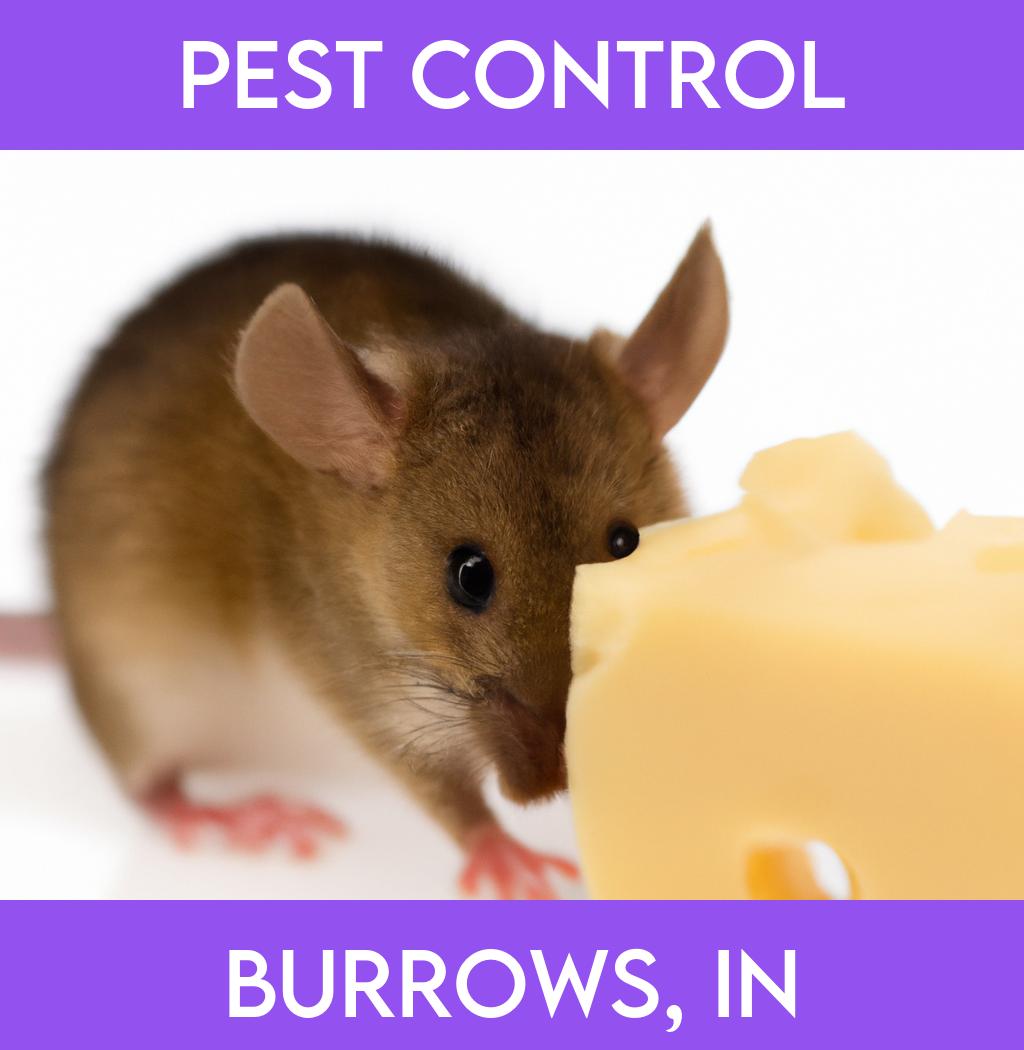 pest control in Burrows Indiana
