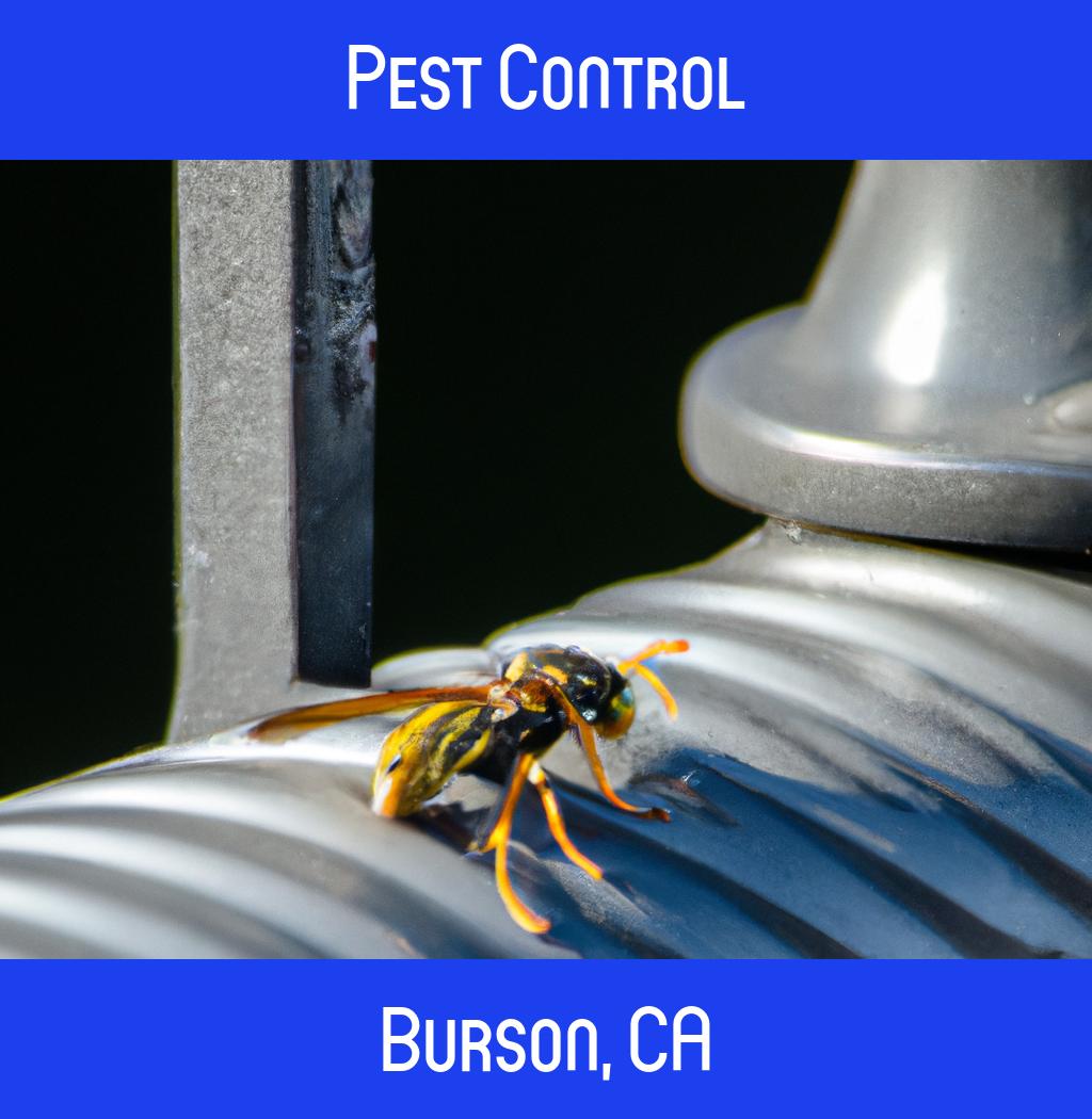 pest control in Burson California