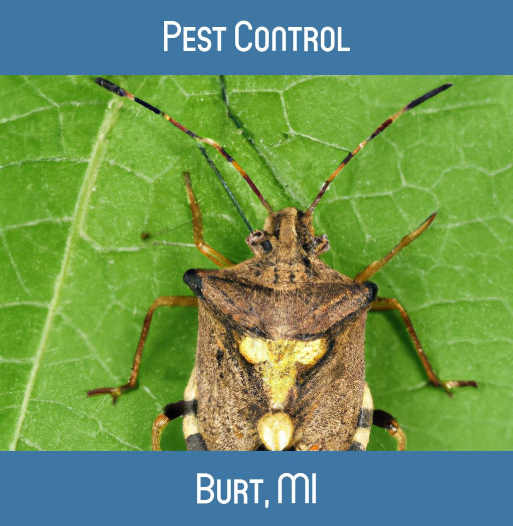 pest control in Burt Michigan