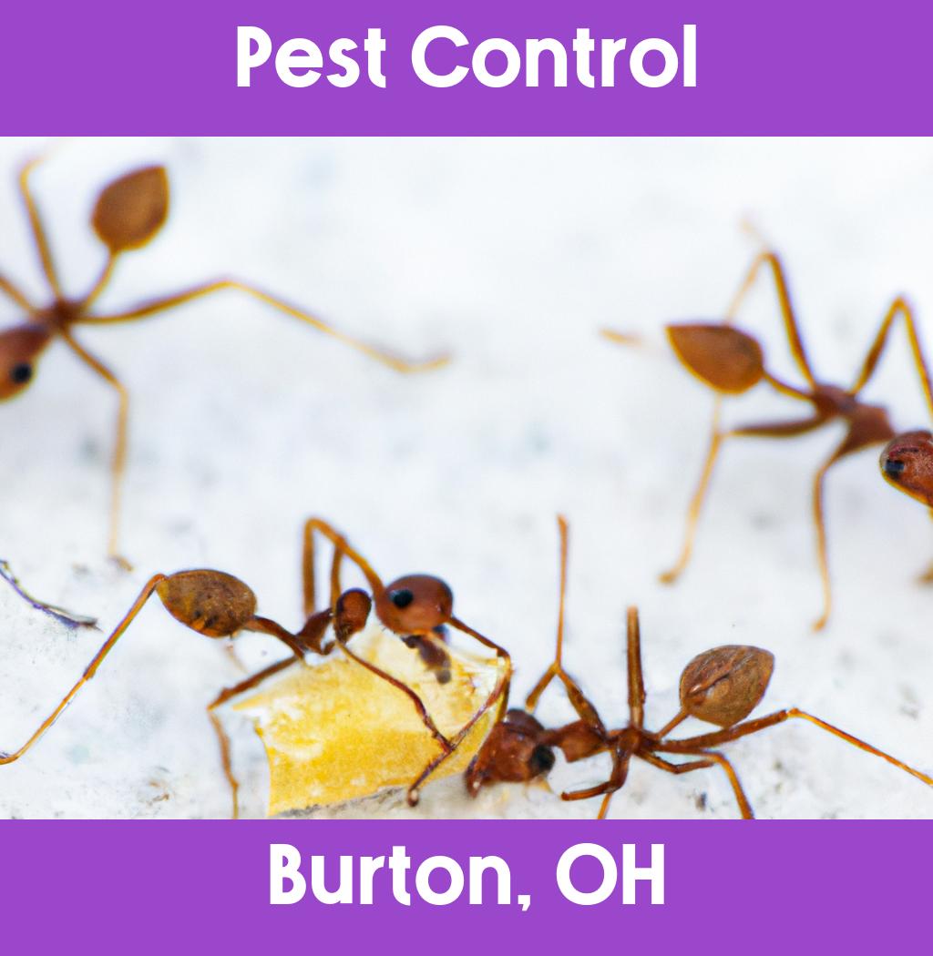 pest control in Burton Ohio