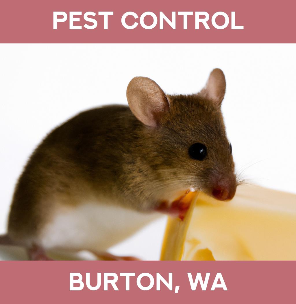 pest control in Burton Washington