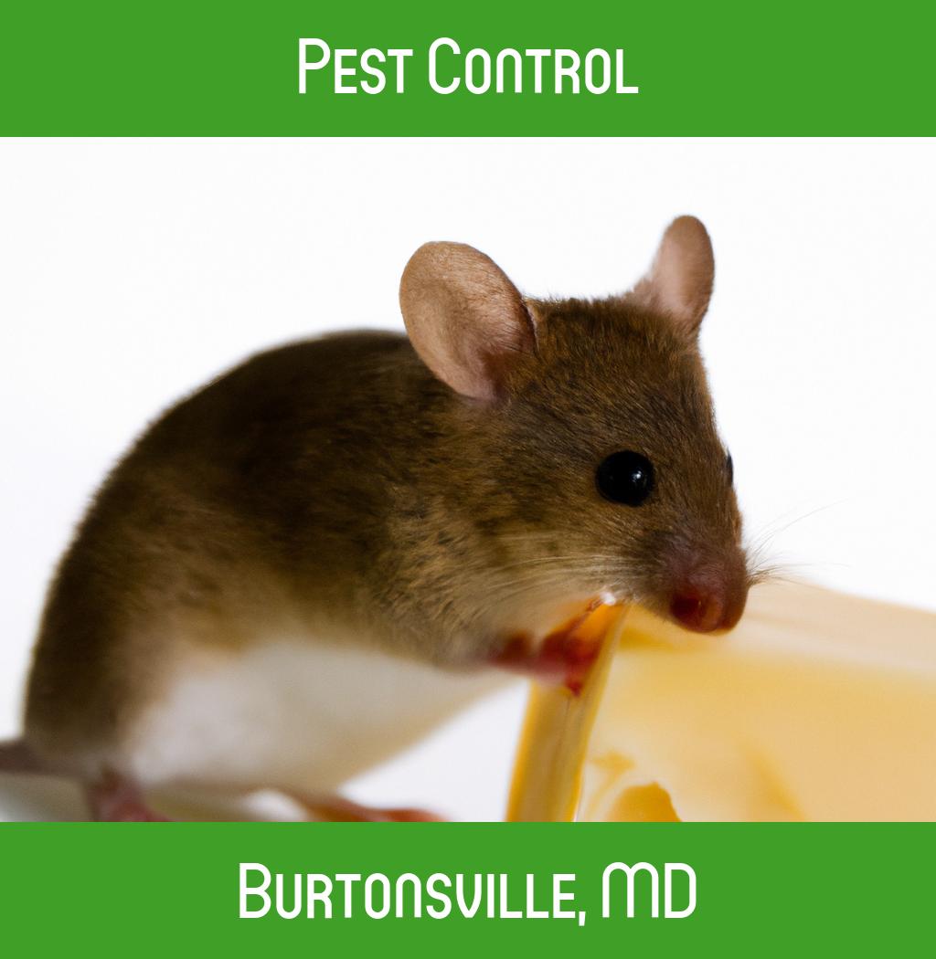pest control in Burtonsville Maryland