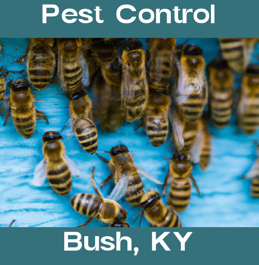 pest control in Bush Kentucky