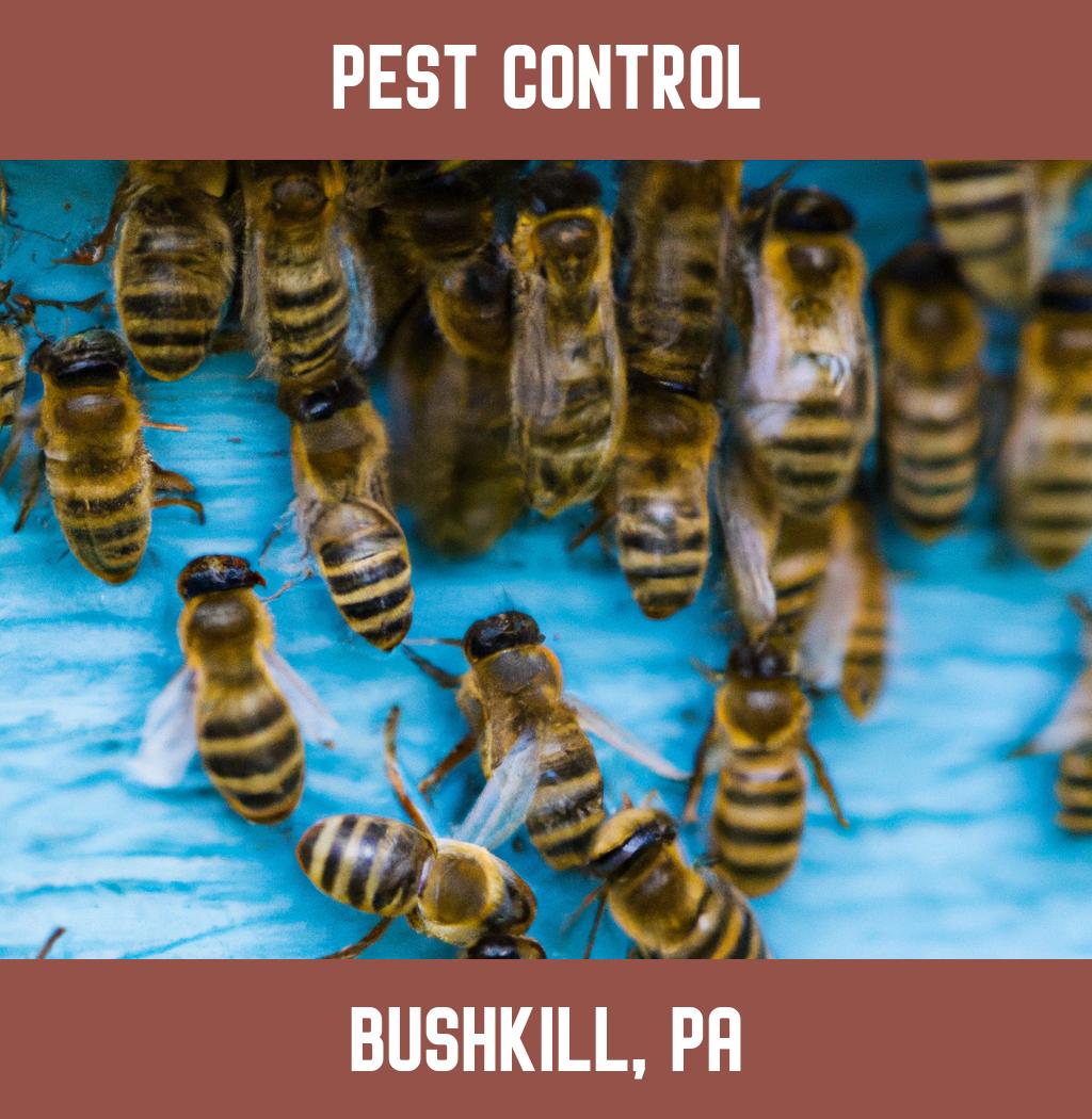 pest control in Bushkill Pennsylvania