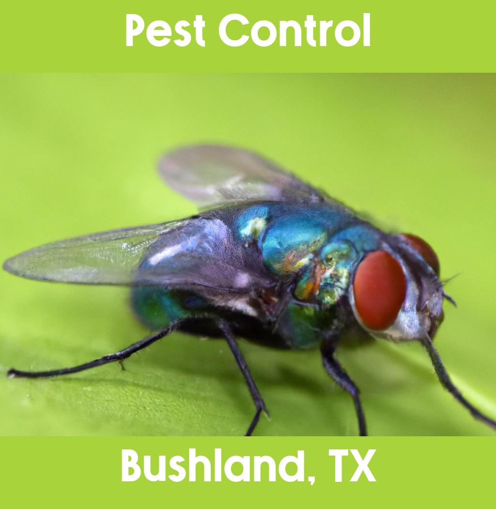 pest control in Bushland Texas