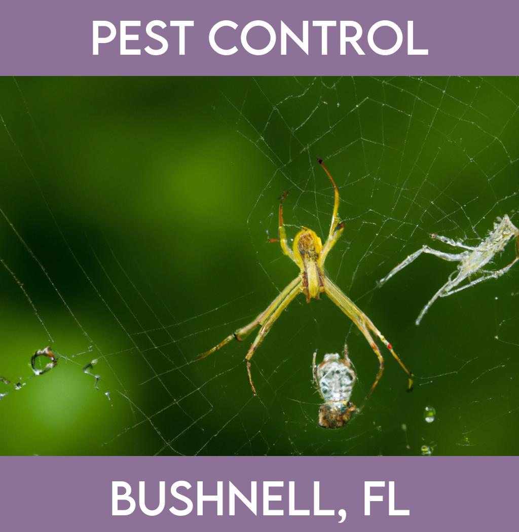 pest control in Bushnell Florida