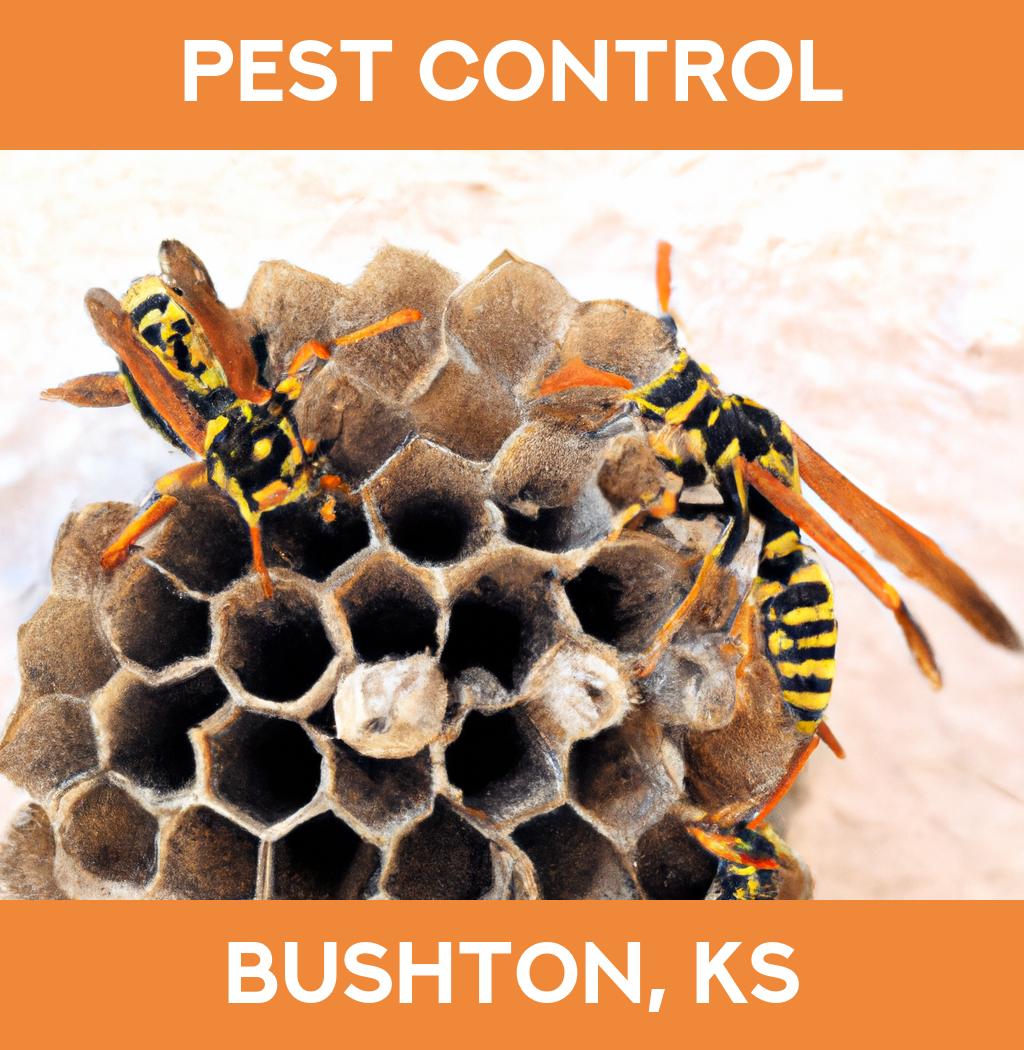 pest control in Bushton Kansas