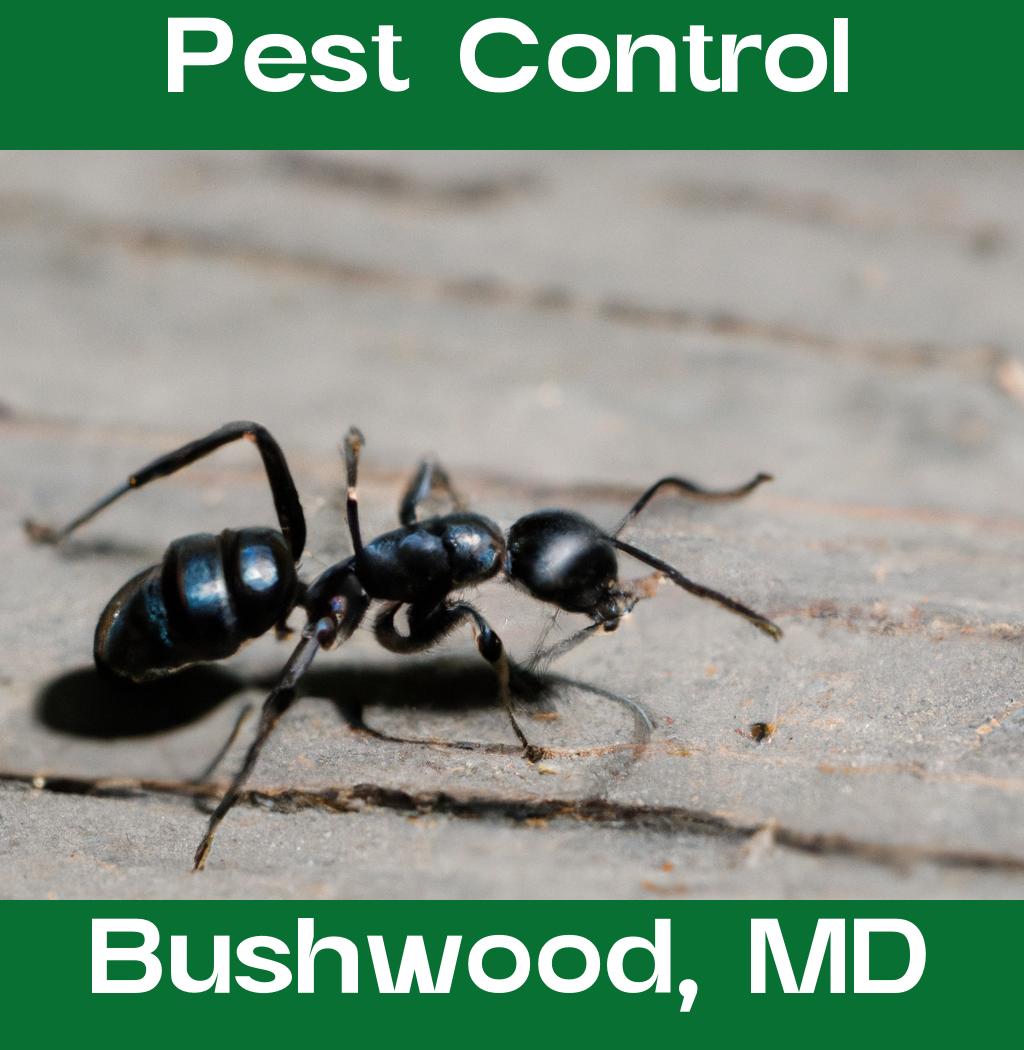 pest control in Bushwood Maryland