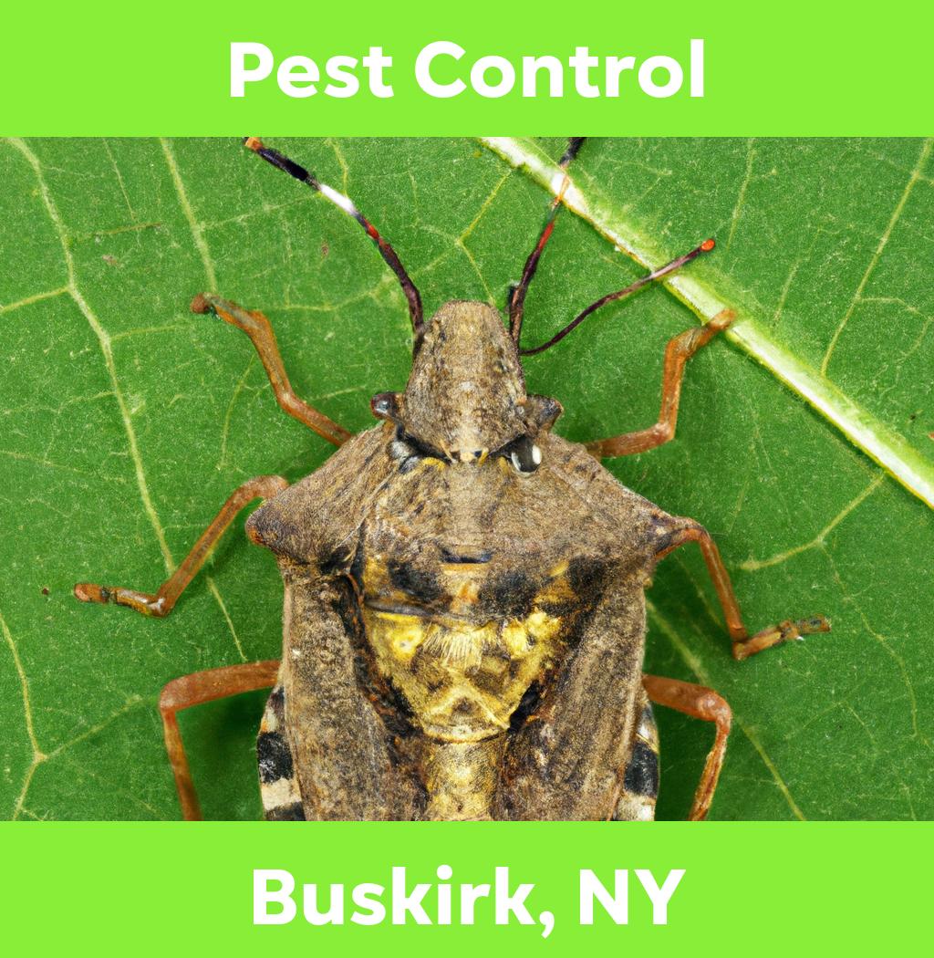 pest control in Buskirk New York