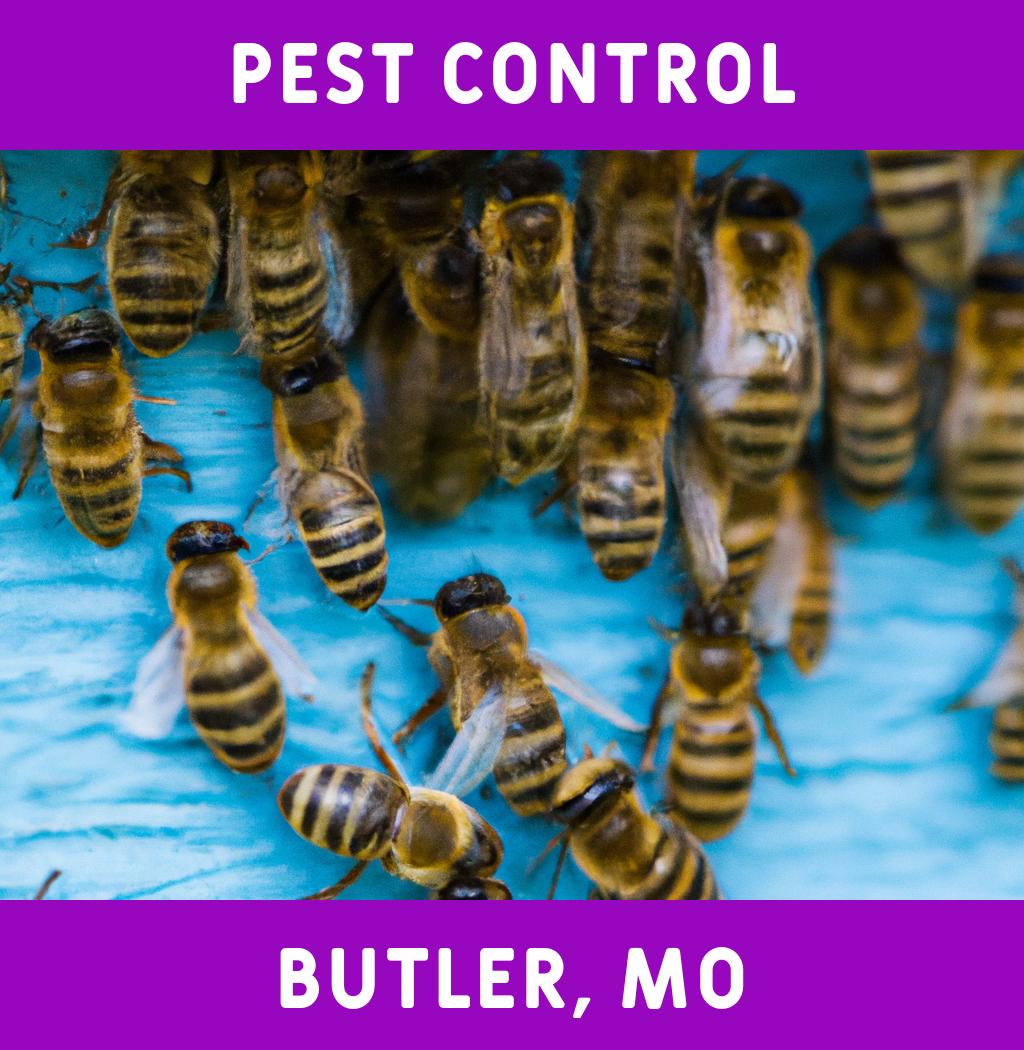 pest control in Butler Missouri