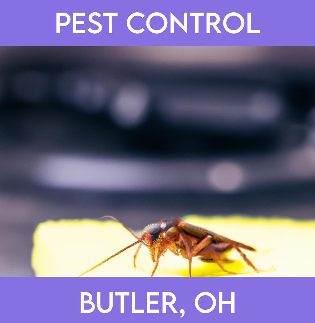 pest control in Butler Ohio