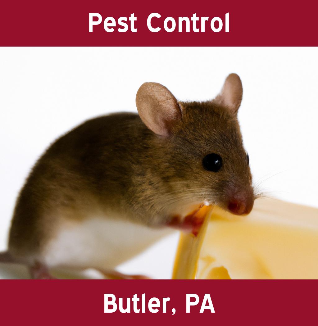 pest control in Butler Pennsylvania