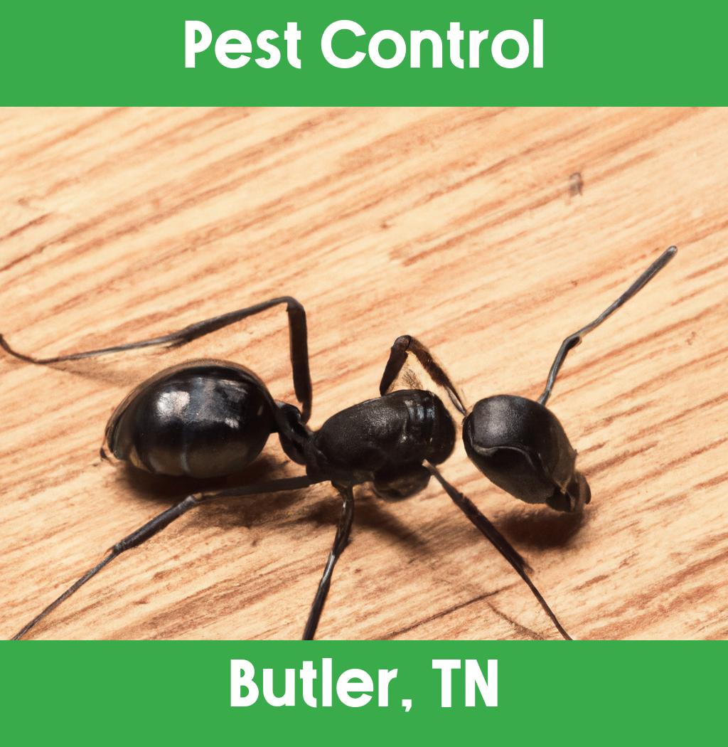 pest control in Butler Tennessee