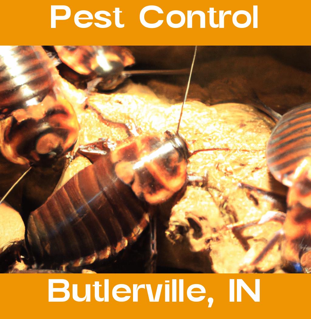 pest control in Butlerville Indiana
