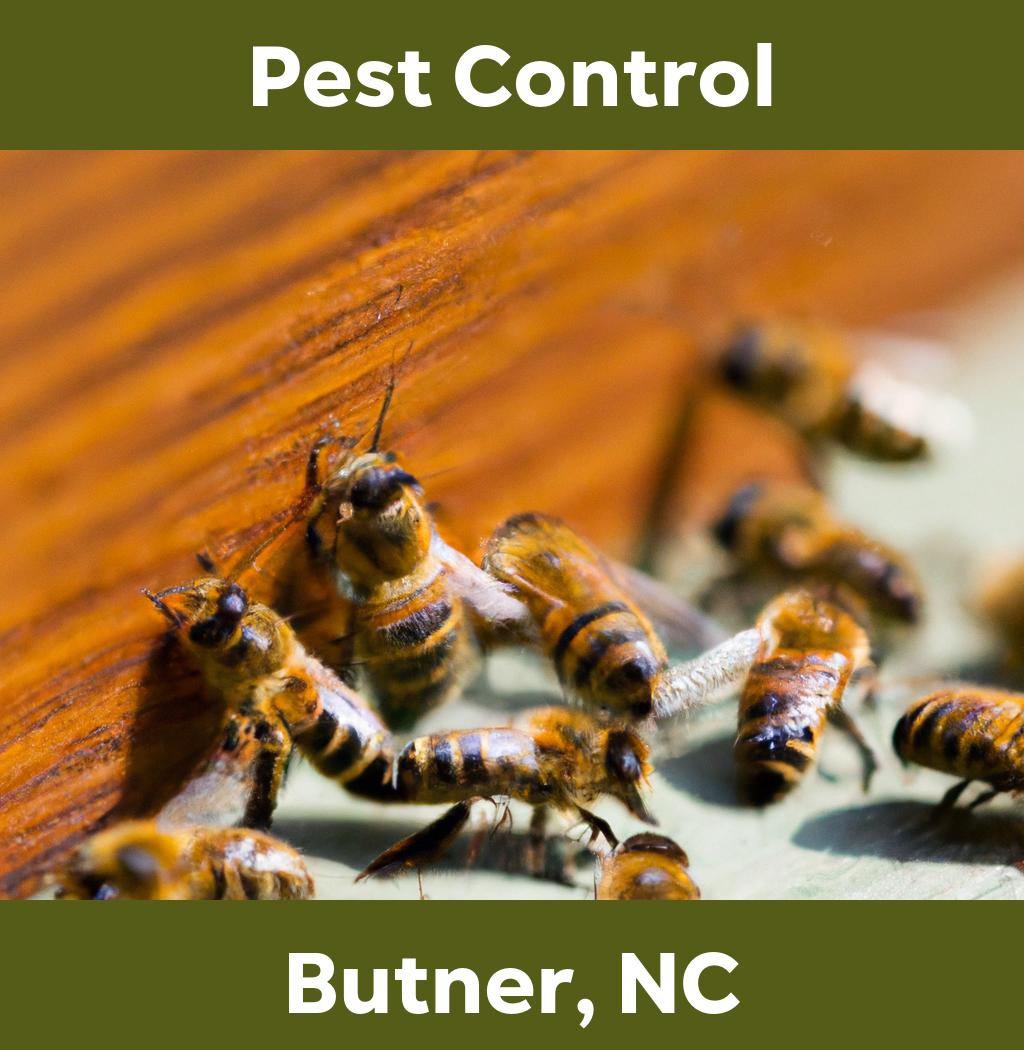 pest control in Butner North Carolina