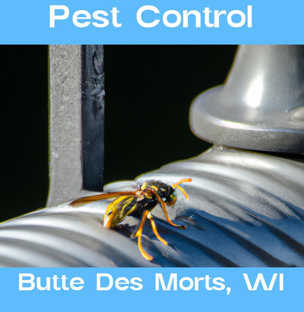 pest control in Butte Des Morts Wisconsin