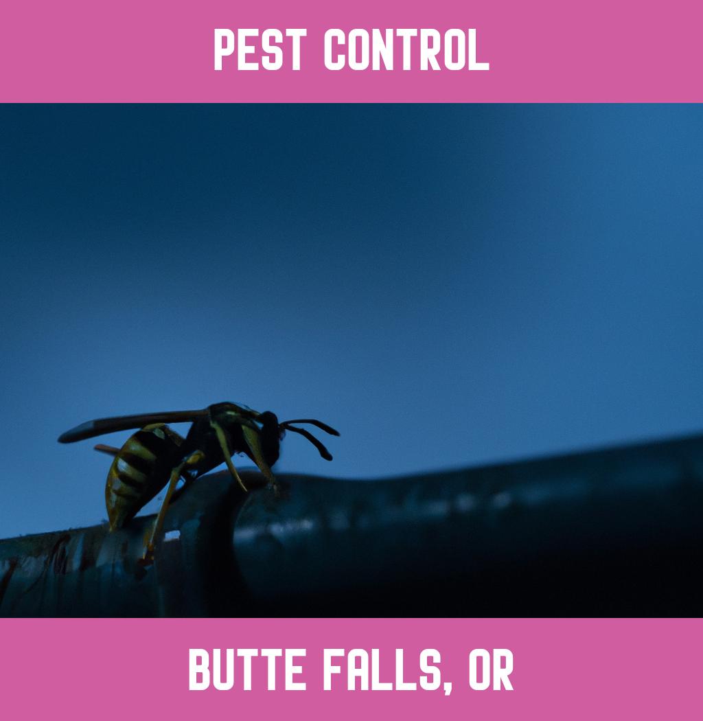 pest control in Butte Falls Oregon