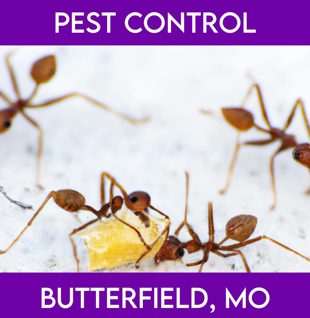 pest control in Butterfield Missouri
