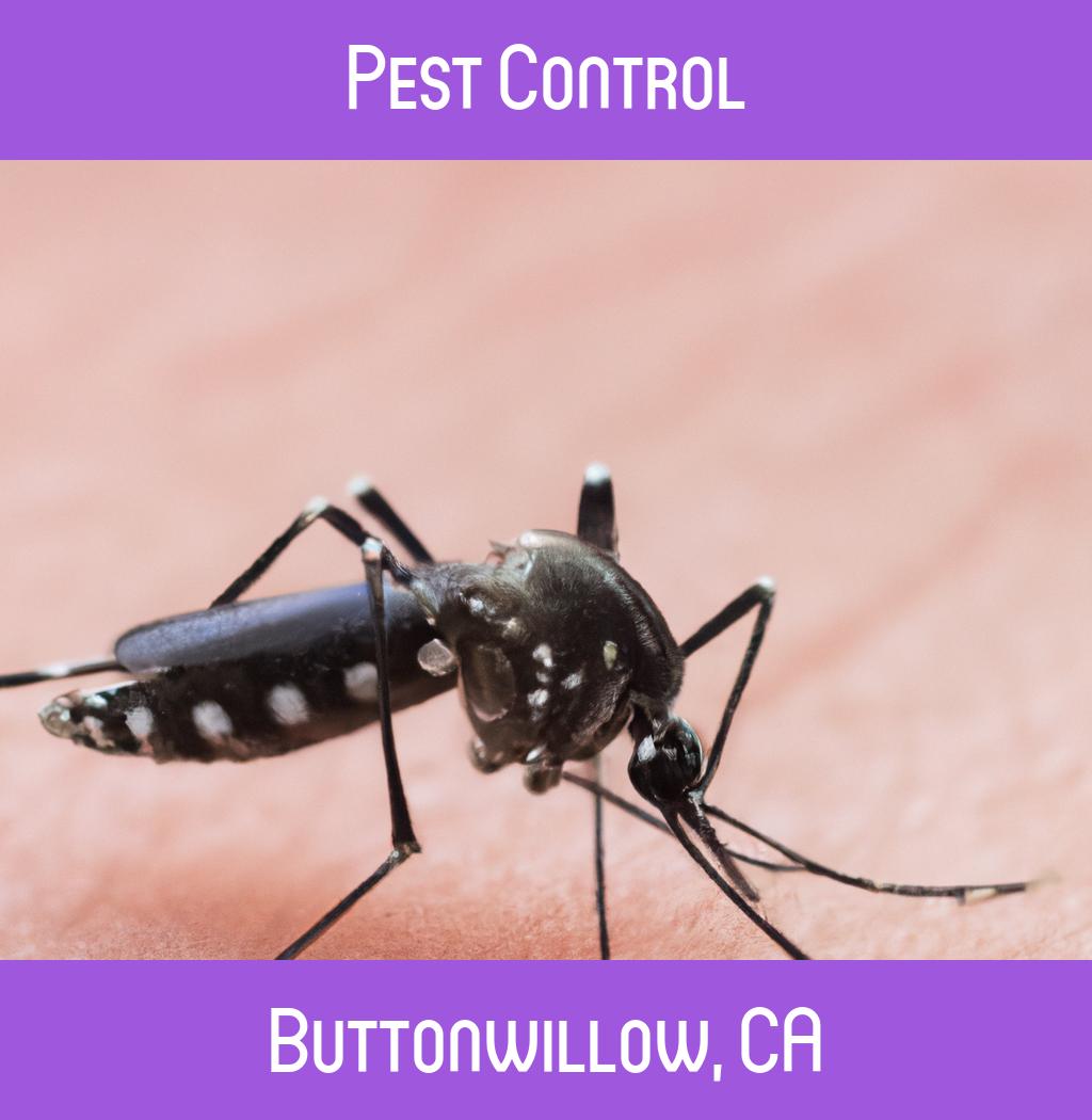pest control in Buttonwillow California