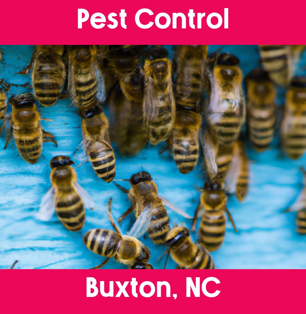 pest control in Buxton North Carolina