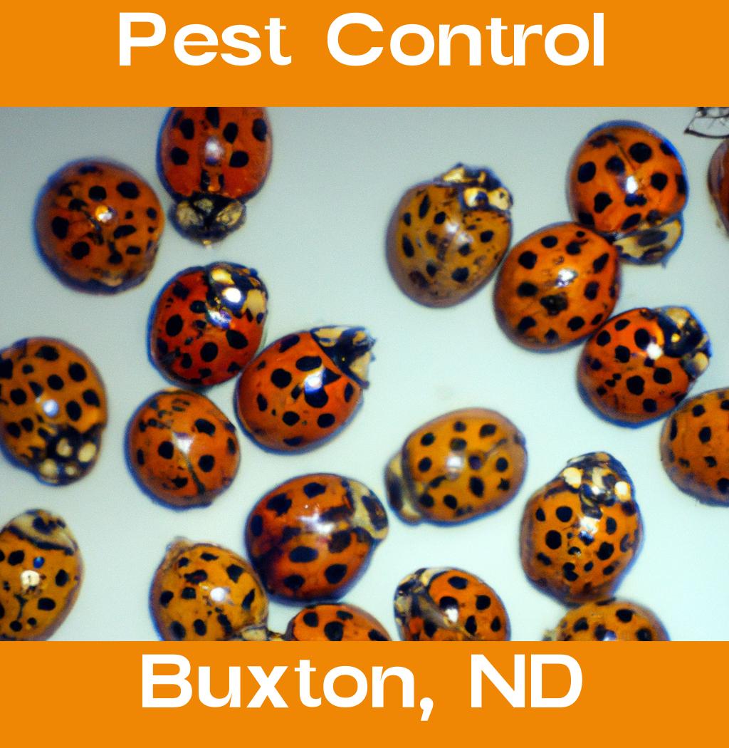 pest control in Buxton North Dakota