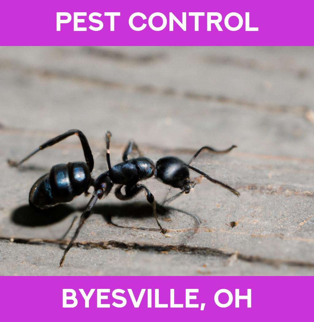 pest control in Byesville Ohio