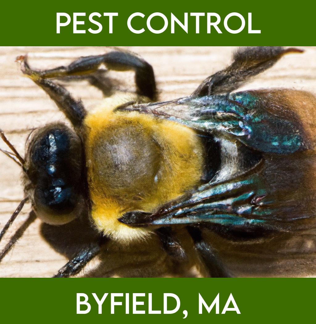 pest control in Byfield Massachusetts