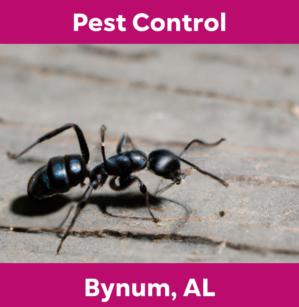 pest control in Bynum Alabama