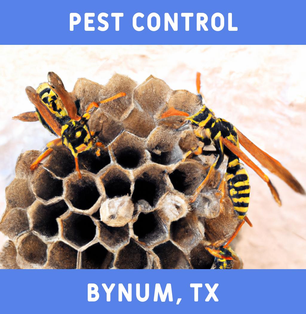 pest control in Bynum Texas