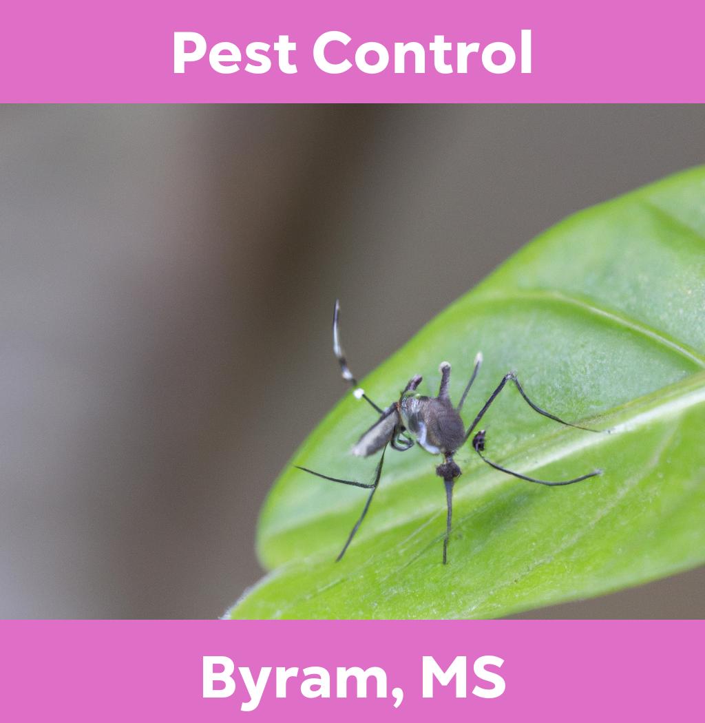 pest control in Byram Mississippi
