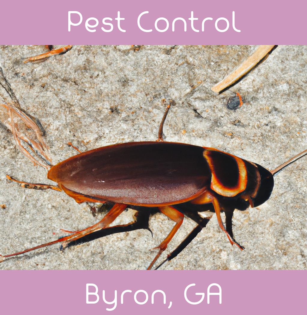 pest control in Byron Georgia