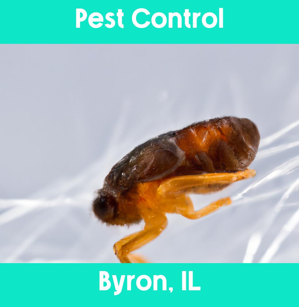 pest control in Byron Illinois